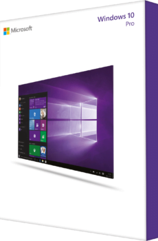 Windows 10 Pro OEM Key