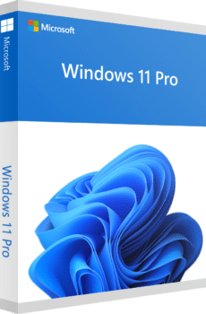 Buy Windows 11 Pro OEM Key